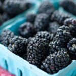 Blackberries